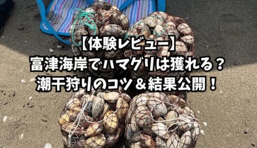 【体験レビュー】富津海岸でハマグリは獲れる？潮干狩りのコツ＆結果公開！