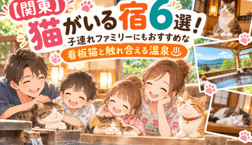 【関東】猫がいる宿6選！子連れ旅行にもおすすめな看板猫と触れ合える温泉♨